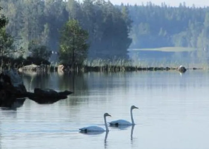 Lokki By Interhome Vesijako